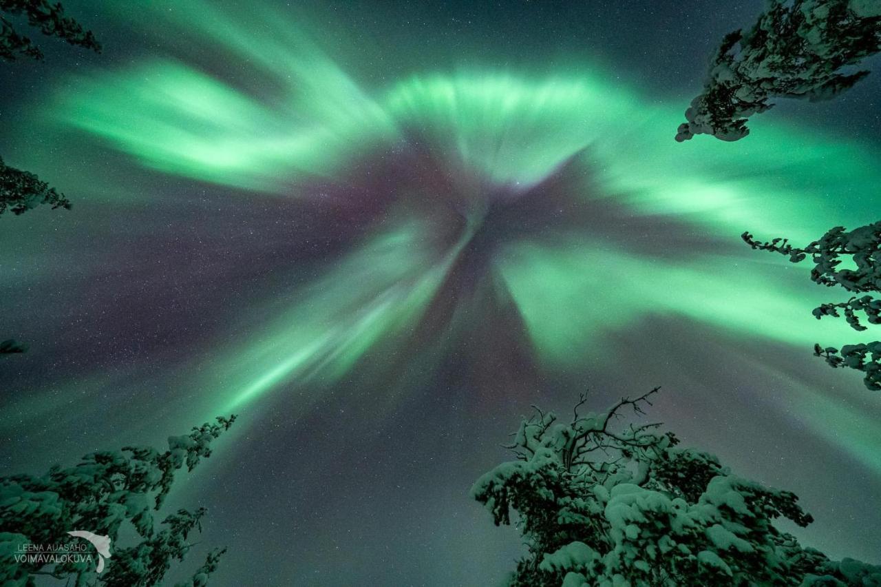 Yllaestoelli 2 D, Aekaeslompolo Lägenhet Kolari Exteriör bild